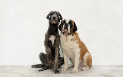 Arthur’s half birthday